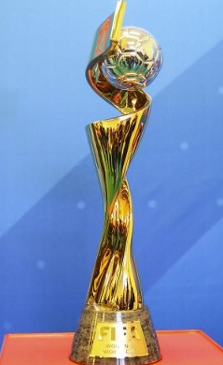 多样化得分 多样化得分